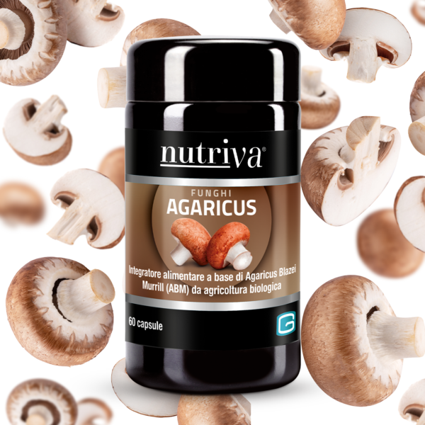 Agaricus (60 caps)