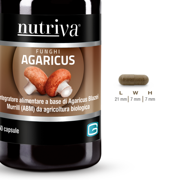Agaricus (60 caps)