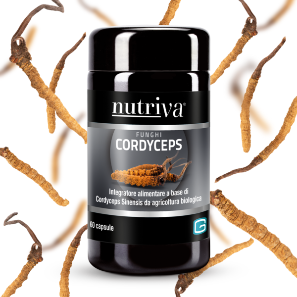 Cordyceps (60 caps)