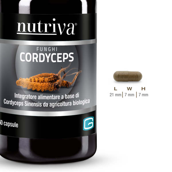 Cordyceps (60 caps)