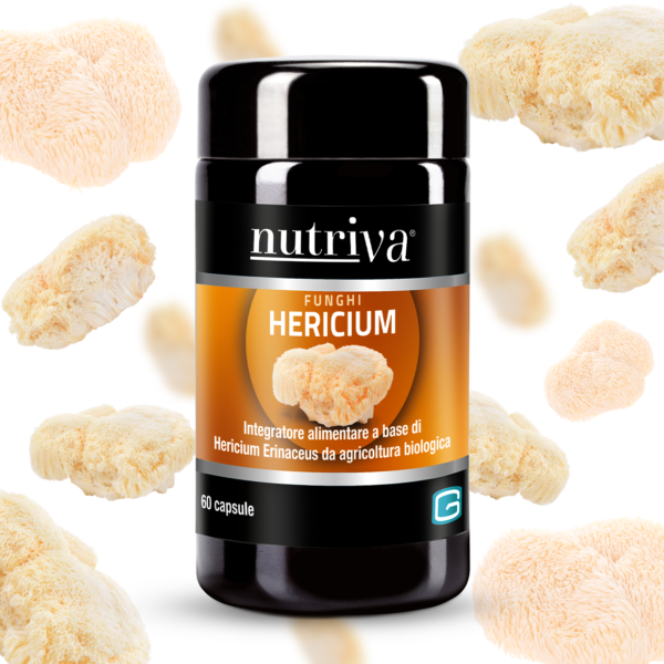 Lion's Mane (Hericium)