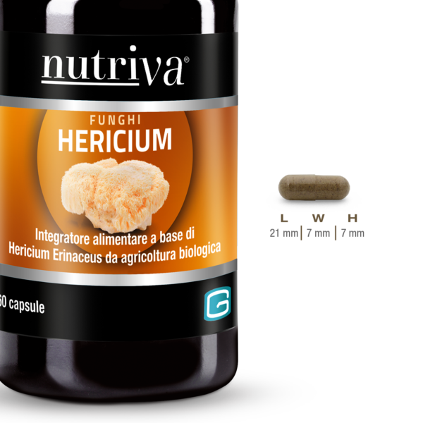 Lion's Mane (Hericium)