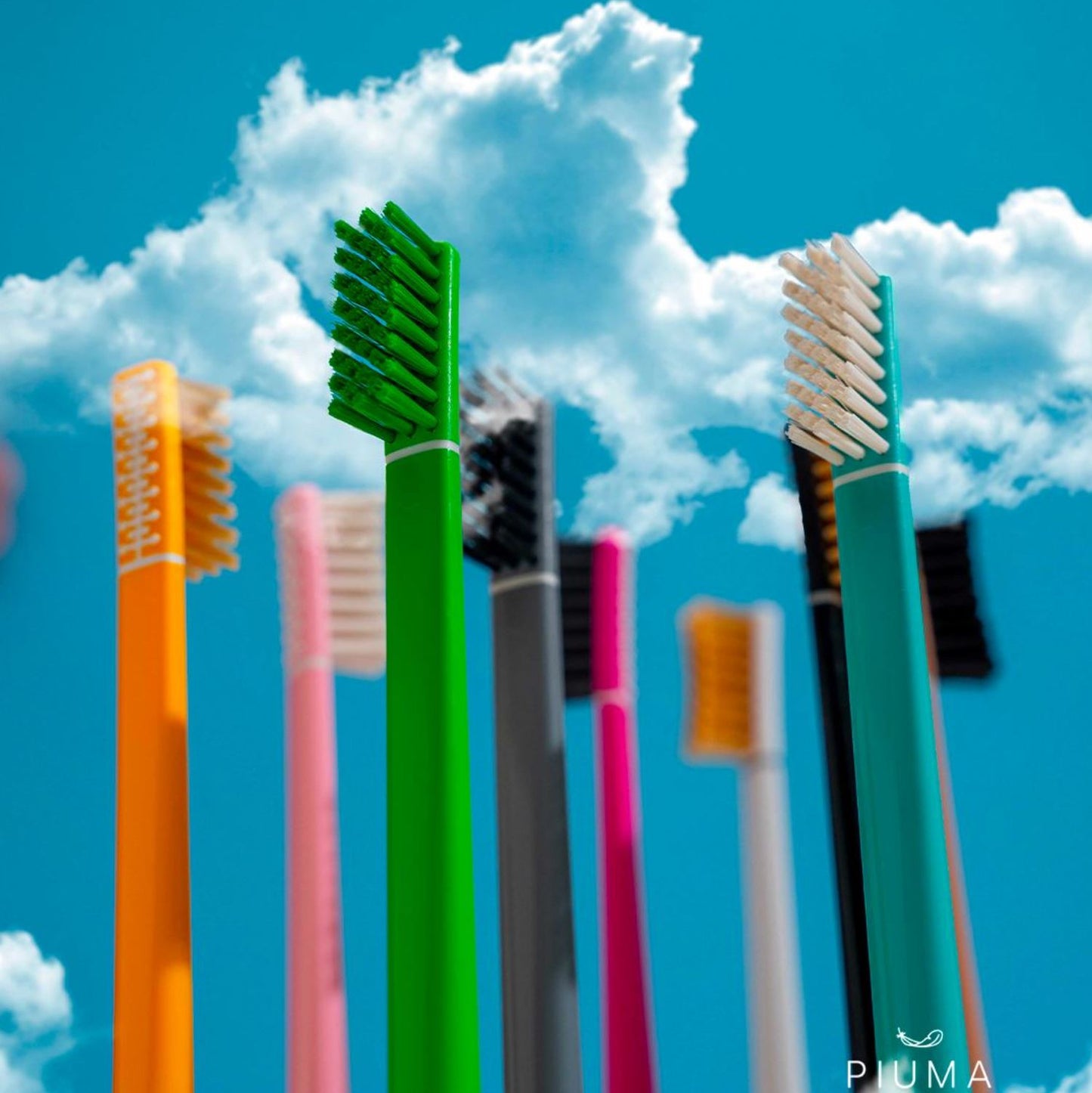 Piuma- Furçë Dhëmbësh