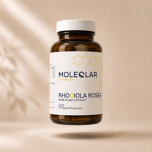 MOLEQLAR - RHODIOLA ROSEA 500mg (60 kapsula)