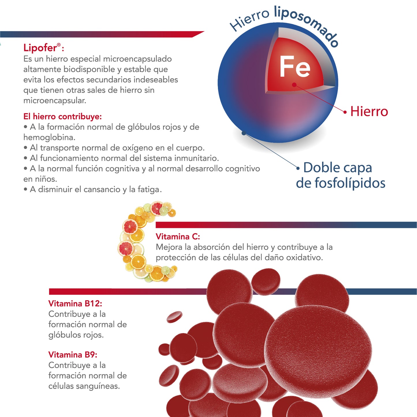 Vitamin Ferro Forte