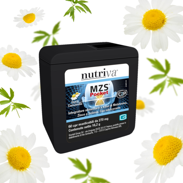 MZS Pocket